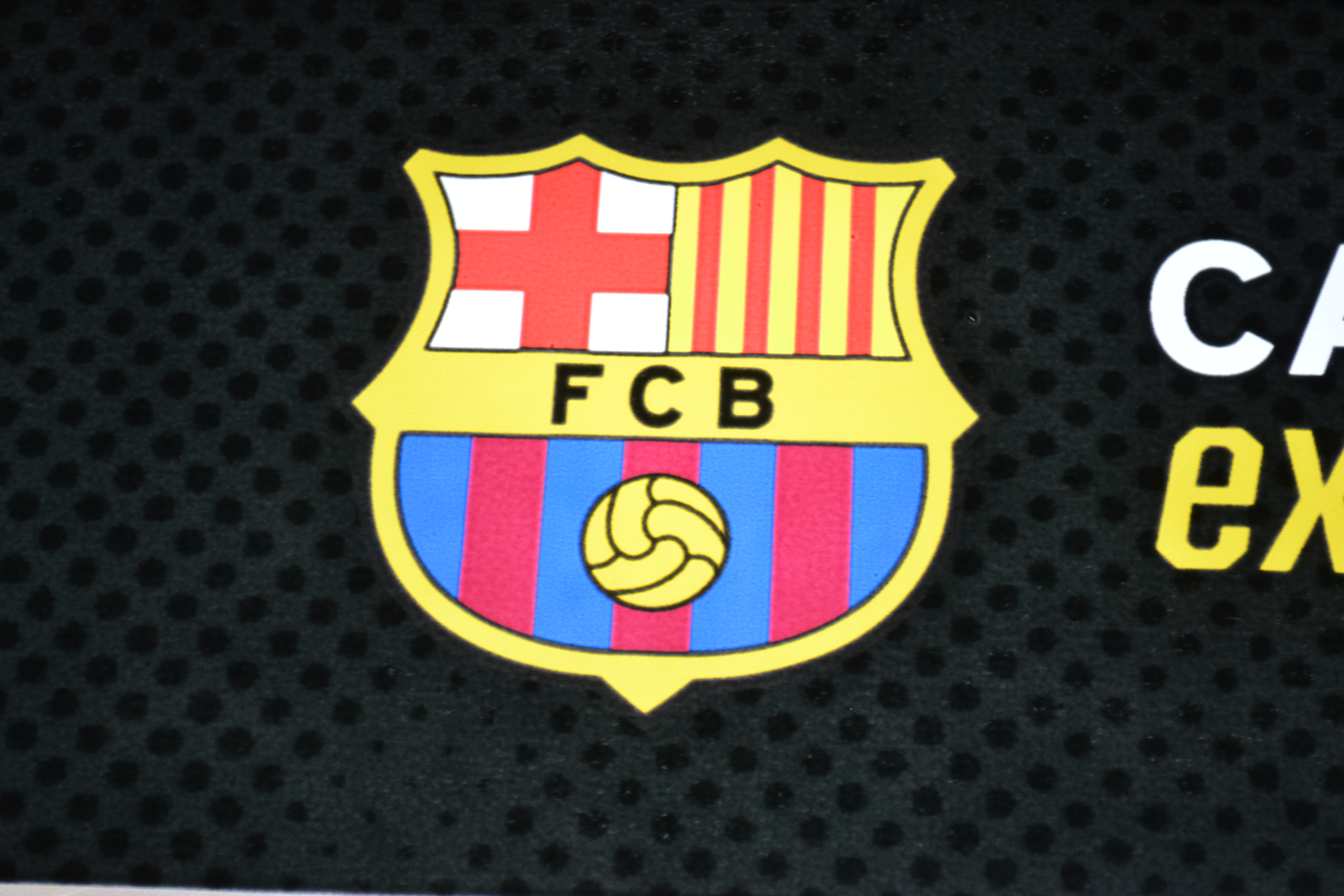 FC Barcelone match Palau Blaugrana