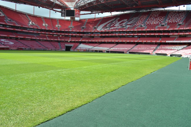 Voir les matchs de foot à Lisbonne