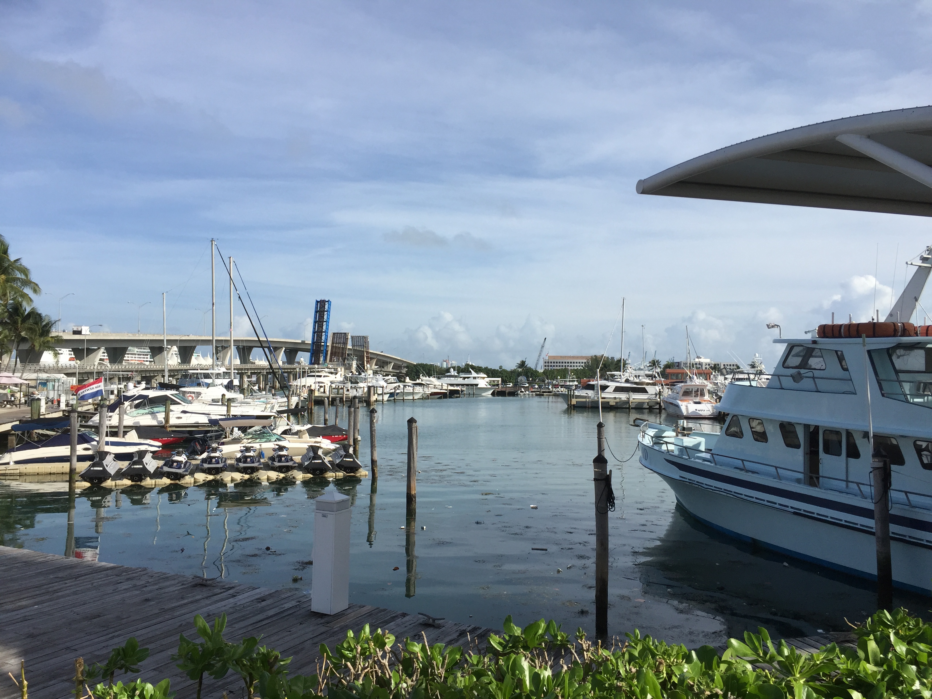 Miami bateau pêche