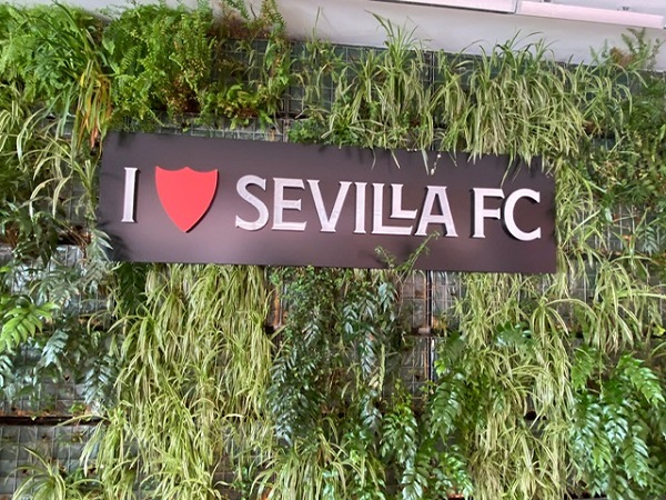 Quels sports voir à Séville ?